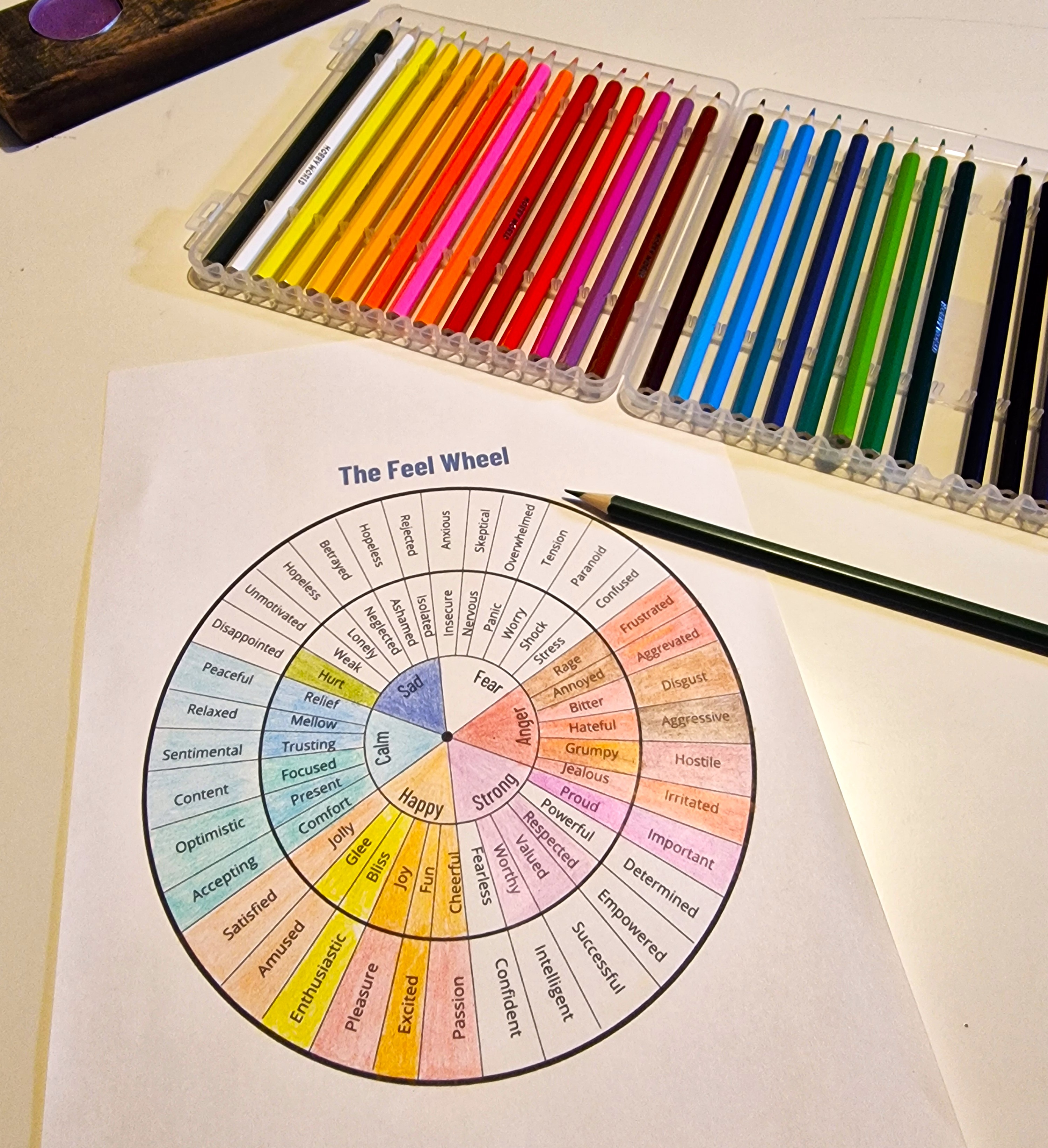 colouring pencils and paper with the feel wheel printed on it. Half of the sections are coloured various colours in pencils.